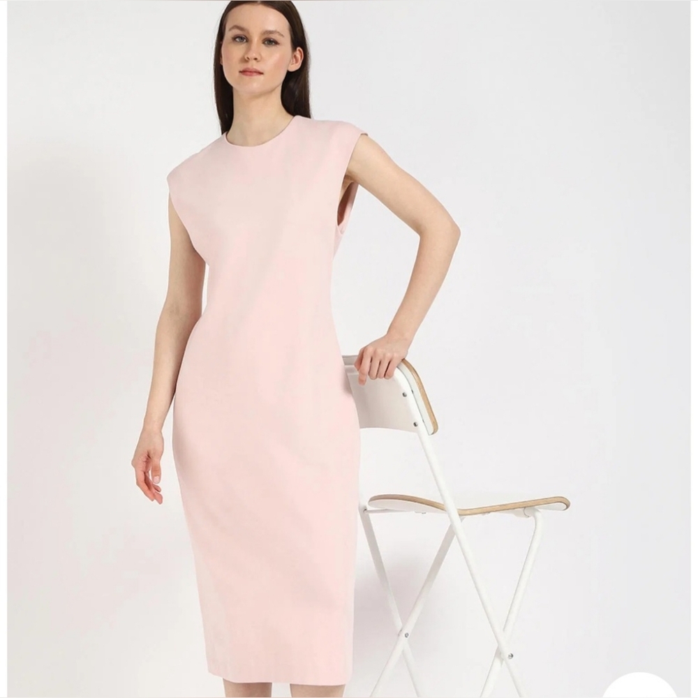 Calvin Klien Pale Pink Sleeveless Back Zip Stretchable Chic Midi Dress Medium